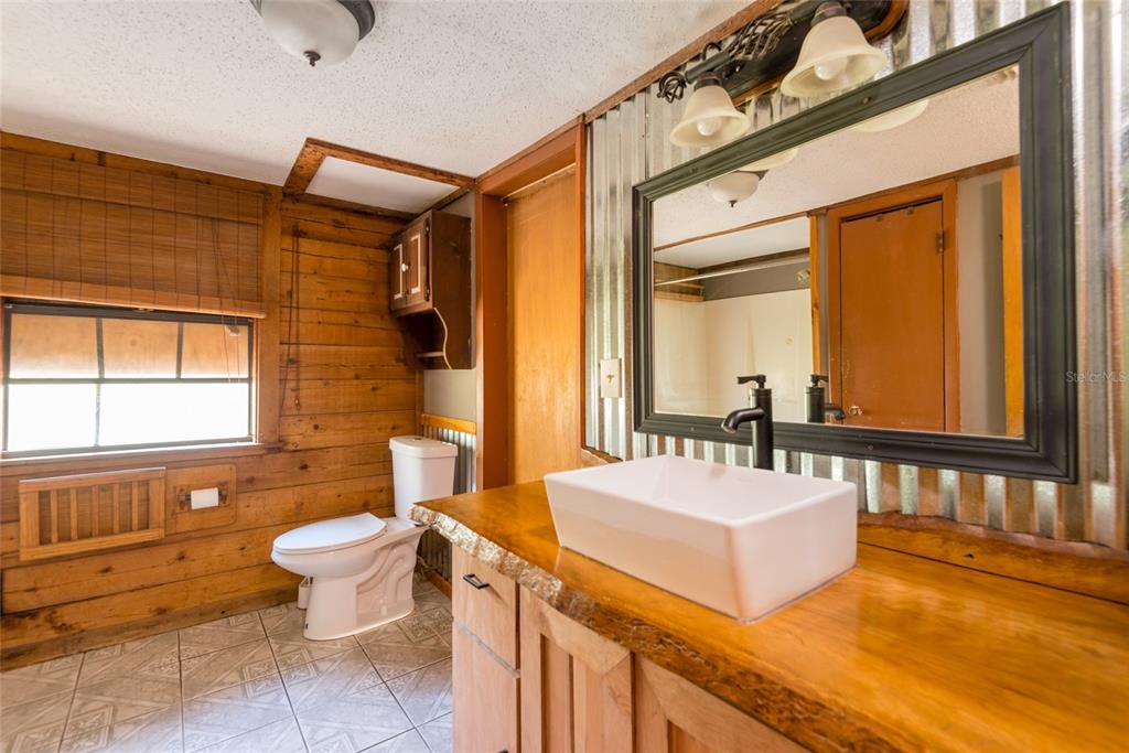 2641 McIntosh Road Dover, FL 33527 - Photo 21 of 58 a bathroom with a sink a toilet a mirror and bathtub