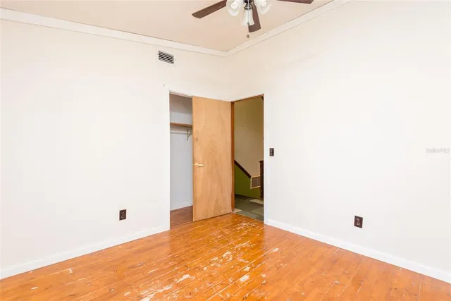 a view of a trees in a yard