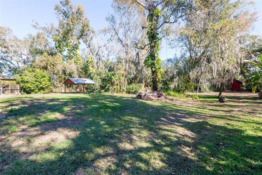 2641 McIntosh Road Dover, FL 33527 - Photo 31 of 58 a view of park space