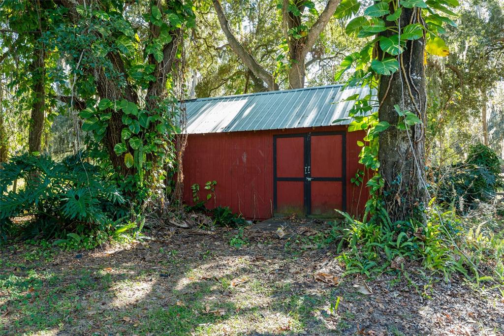 2641 McIntosh Road Dover, FL 33527 - Photo 40 of 58 a view of backyard with potted plants and large tree