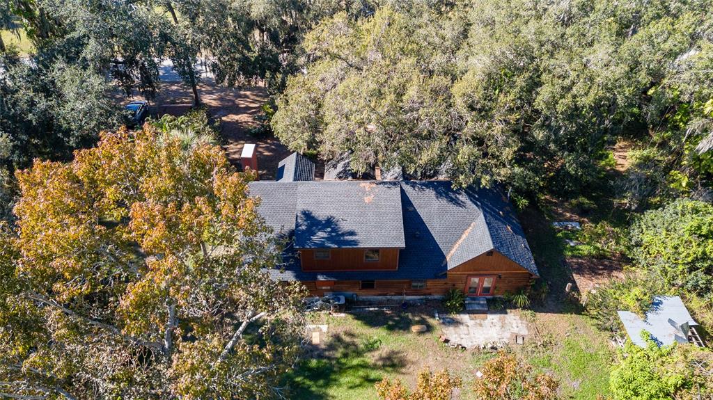 2641 McIntosh Road Dover, FL 33527 - Photo 46 of 58 a view of a tree in front of a house