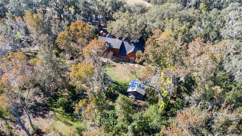 2641 McIntosh Road Dover, FL 33527 - Photo 48 of 58