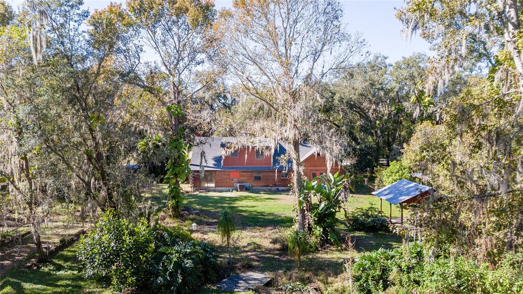 2641 McIntosh Road Dover, FL 33527 - Photo 58 of 58 a view of a yard with plants and large trees