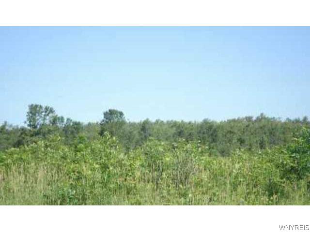 V/l Buckwheat Road Akron, NY 14001 - Photo 1 of 1 Land
