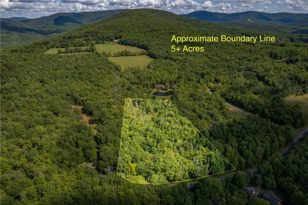 $55,000 | Joe Todd Road, Fleischmanns, NY 12430