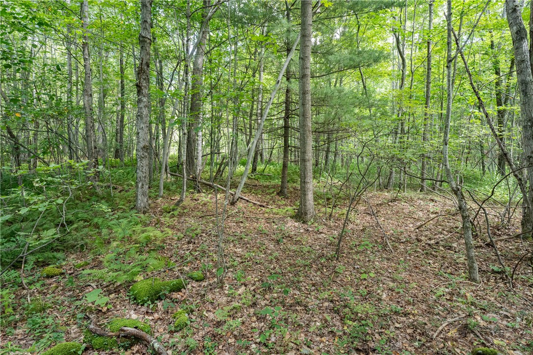 Joe Todd Road Fleischmanns, NY 12430 - Photo 11 of 18