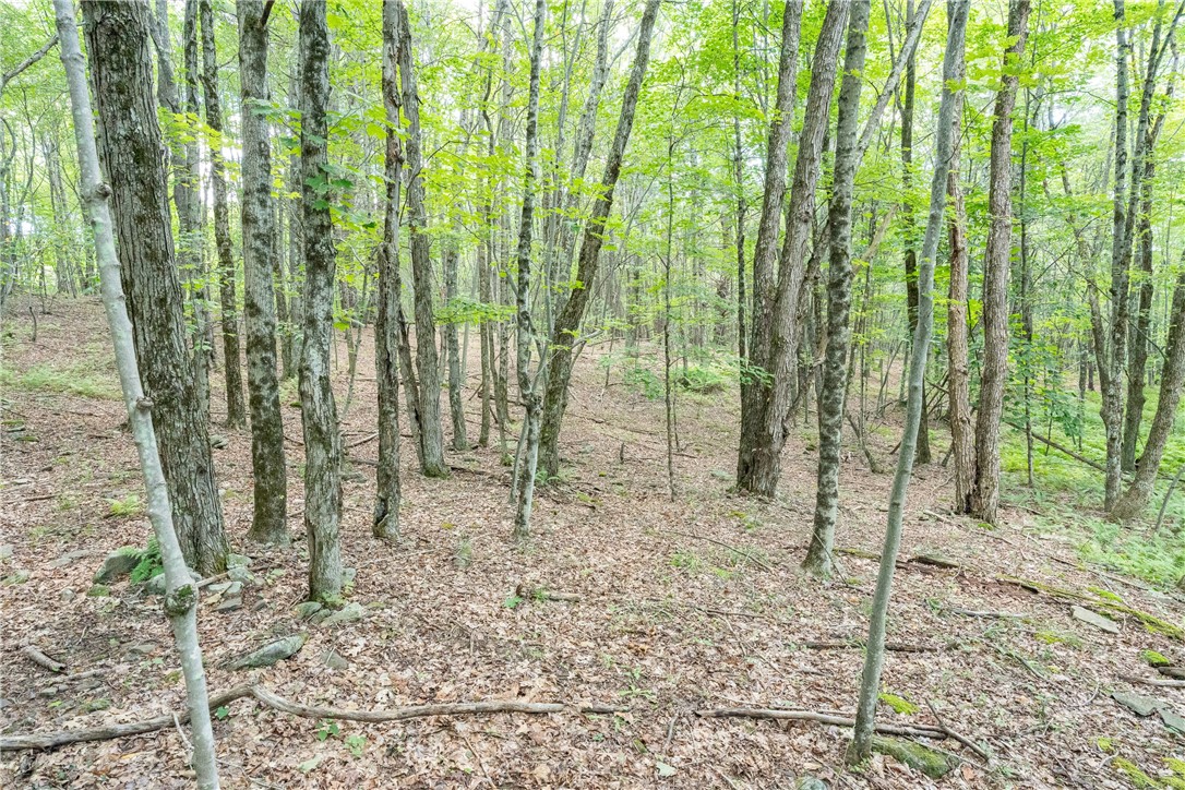 Joe Todd Road Fleischmanns, NY 12430 - Photo 13 of 18