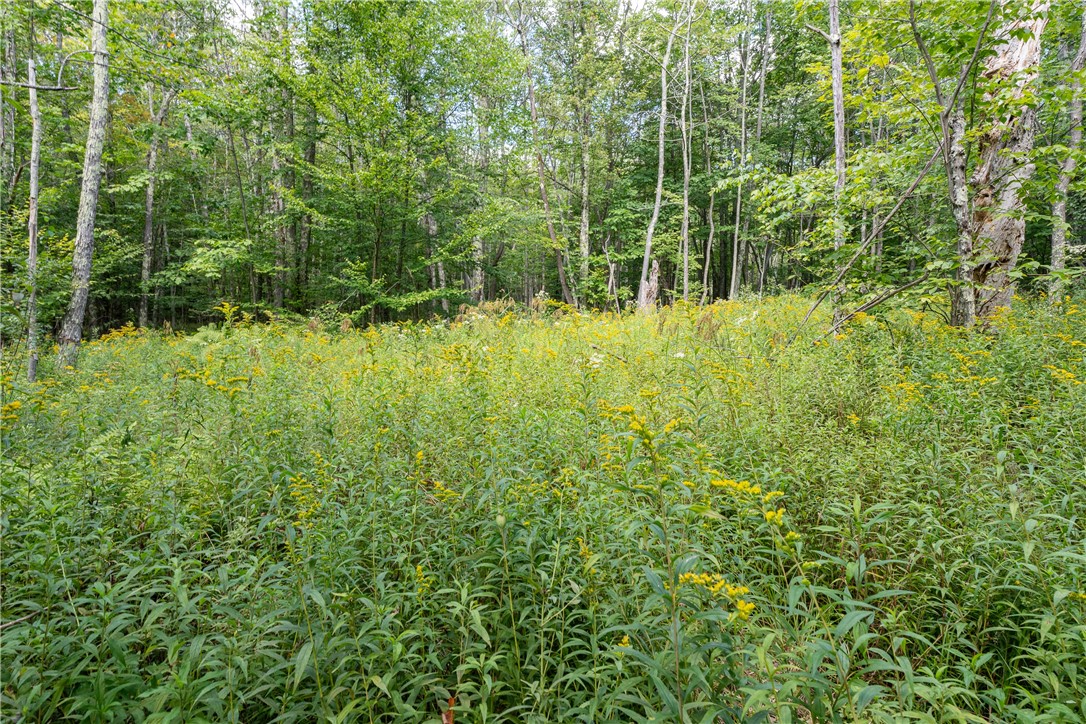 Joe Todd Road Fleischmanns, NY 12430 - Photo 15 of 18