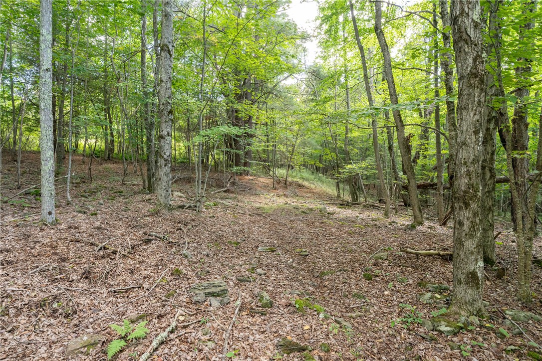 Joe Todd Road Fleischmanns, NY 12430 - Photo 6 of 18