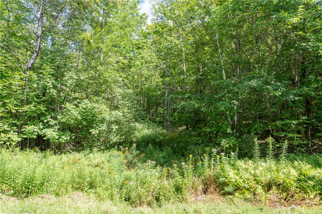 Joe Todd Road Fleischmanns, NY 12430 - Photo 8 of 18