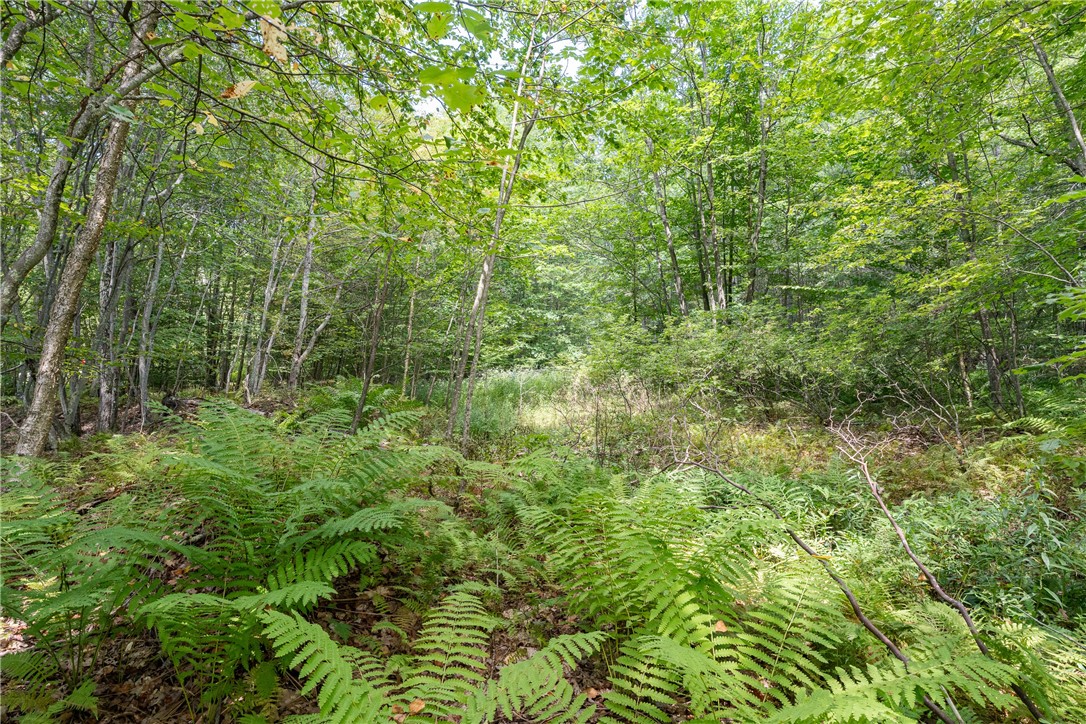Joe Todd Road Fleischmanns, NY 12430 - Photo 9 of 18