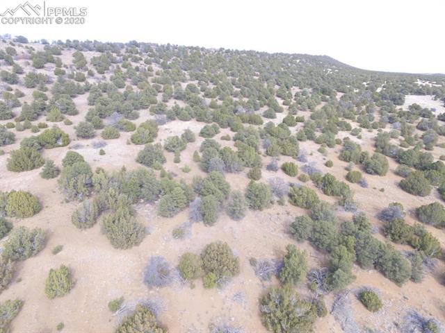 Lot 111 River Ridge Ranch Walsenburg, CO 81089 - Photo 4 of 15