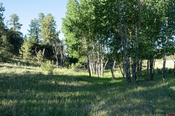 a view of backyard with green space