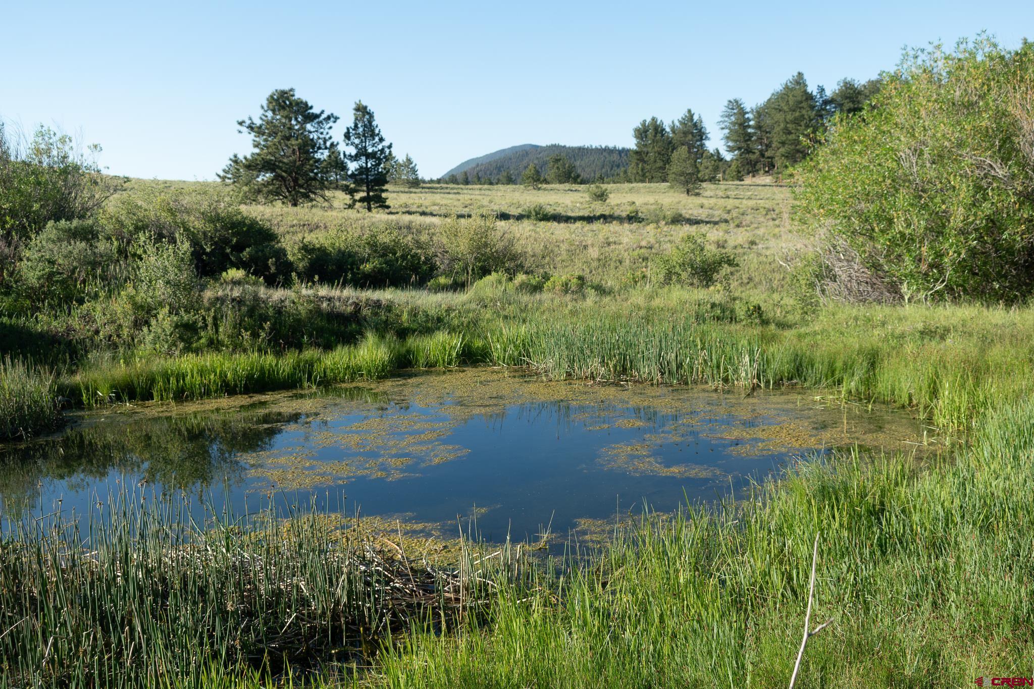 Inspirit Ranch Guffey, CO 80820 - Photo 28 of 35 a view of lake with green space