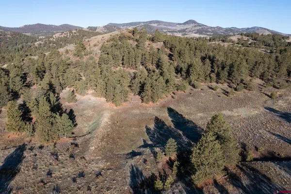 a view of a mountain in the distance in a field
