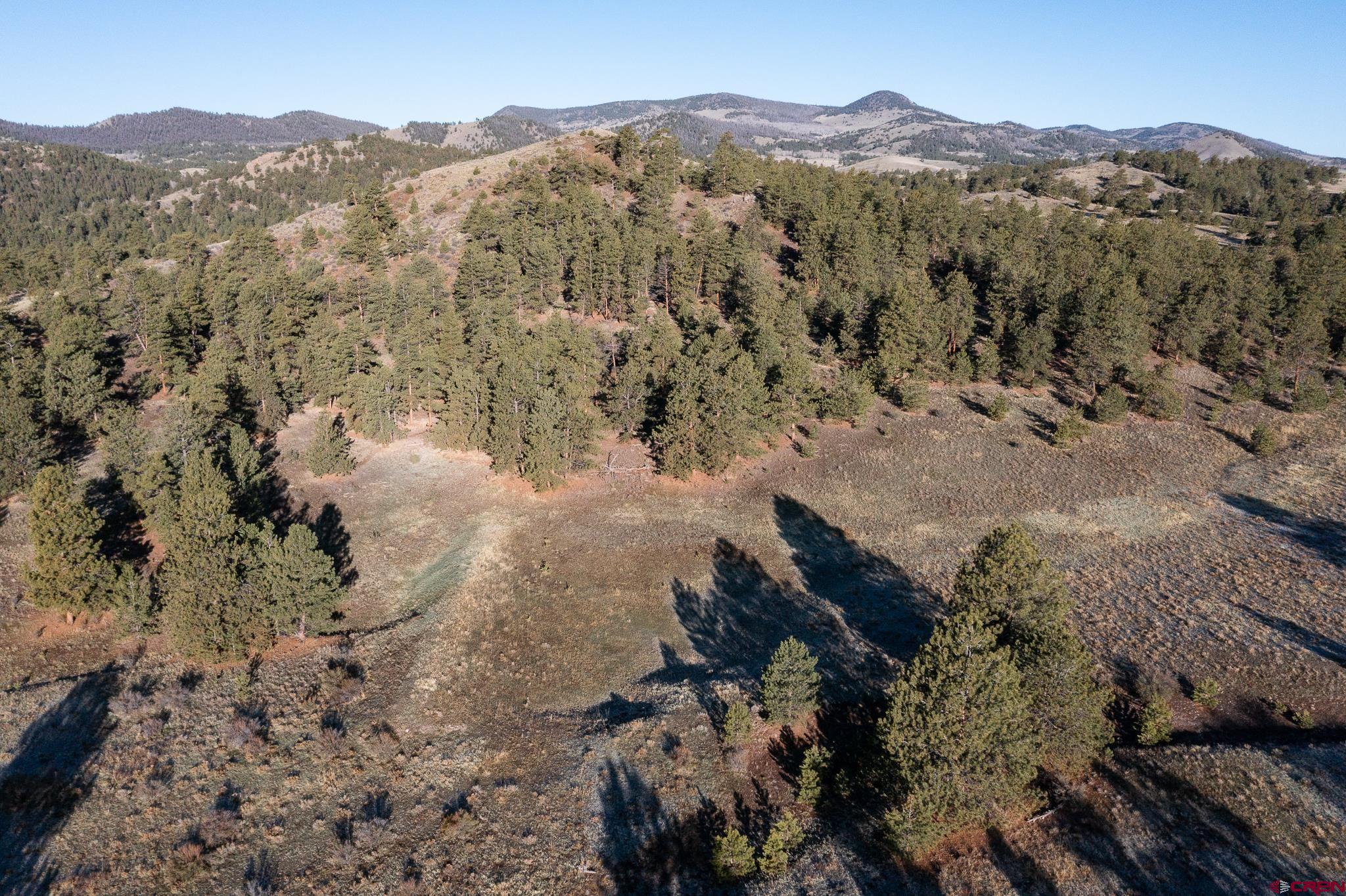 Inspirit Ranch Guffey, CO 80820 - Photo 3 of 35 a view of a mountain in the distance in a field