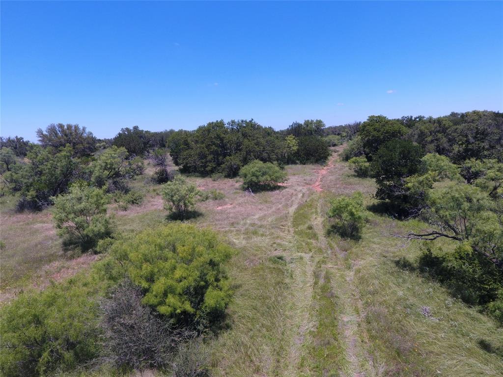 219 C R 550 Mullin, TX 76864 - Photo 18 of 37 a view of a yard with a tree