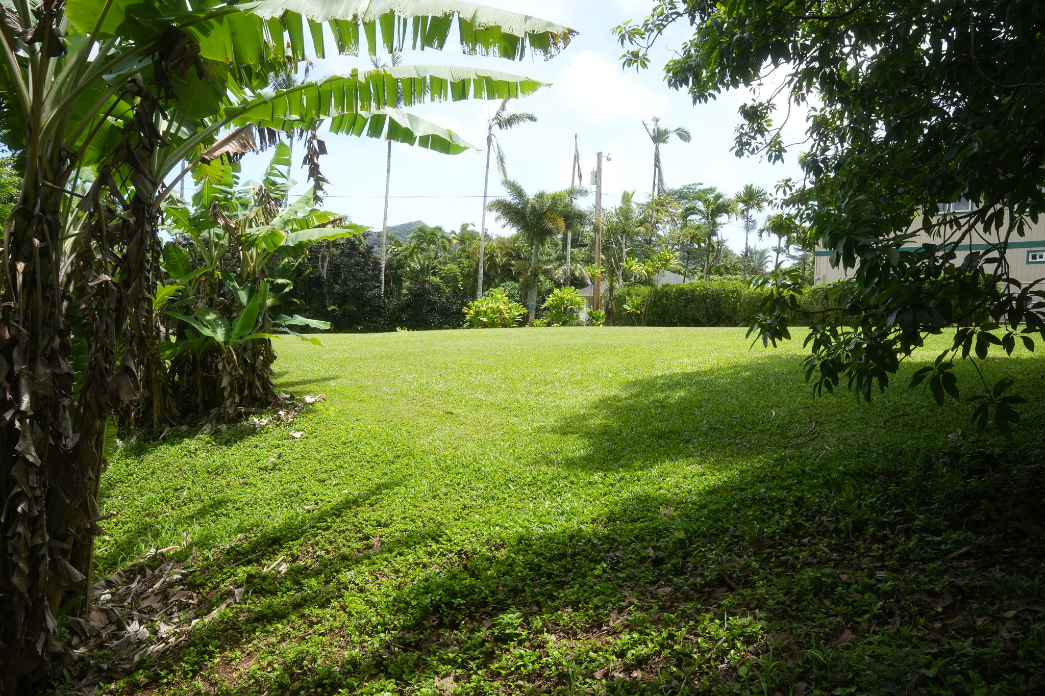 6396 Kalama Road Kapaa, HI 96746 - Photo 10 of 14 Gallery Image 10