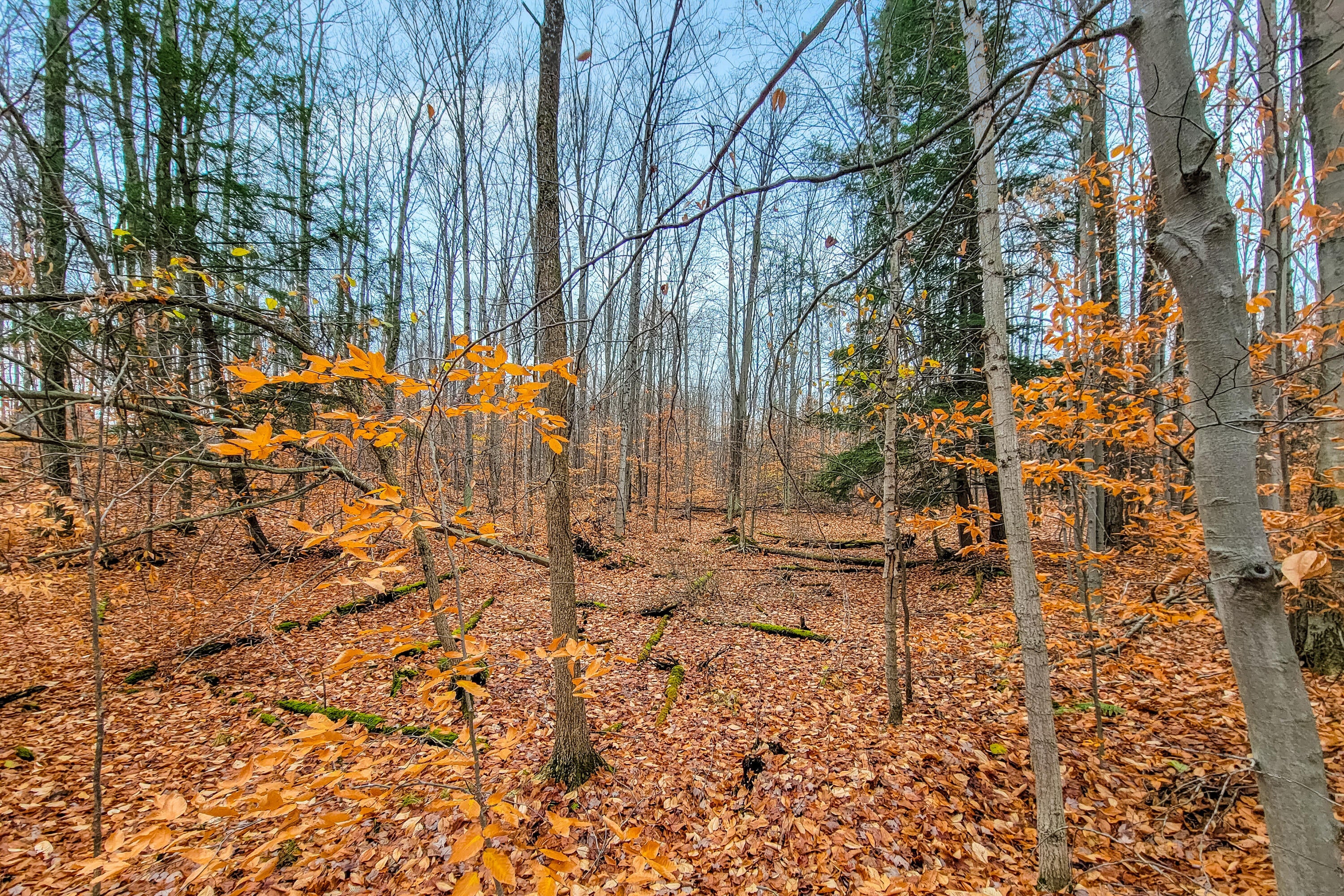 Lot 70 Andergood Road Lewiston, MI 49756 - Photo 9 of 11 Gallery Image 9