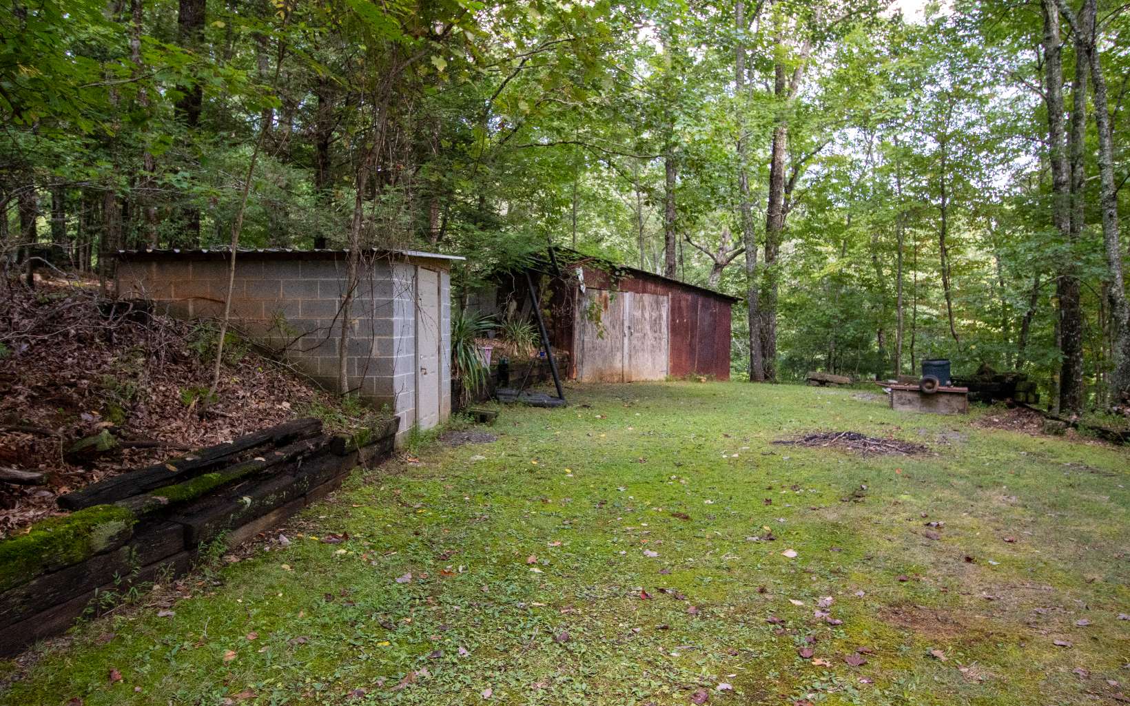 337 Chestnut Gap Road Blue Ridge, GA 30513 - Photo 60 of 62 Additional View