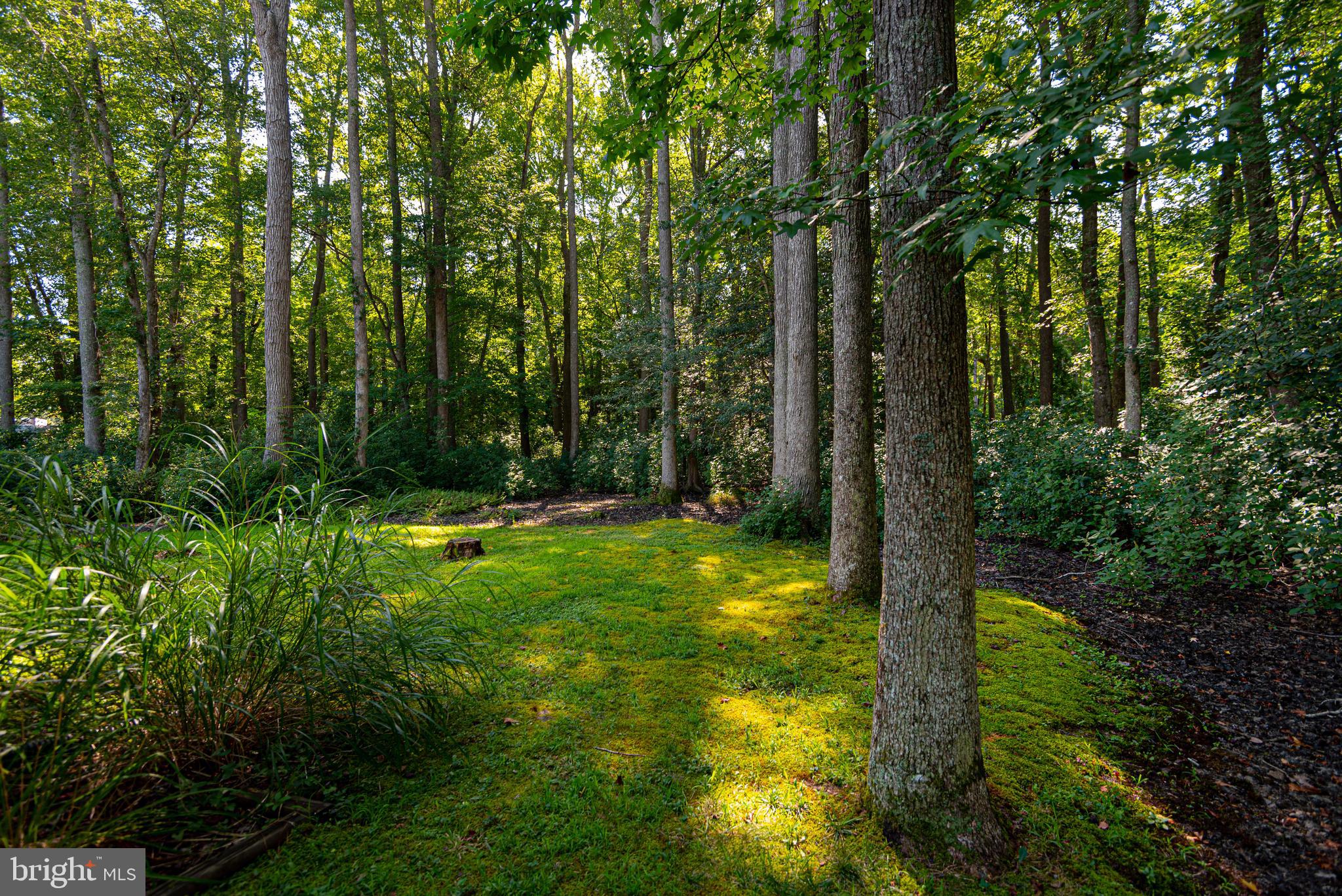 276 Windjammer Road Ocean Pines, MD 21811 - Photo 28 of 54 Exterior Back