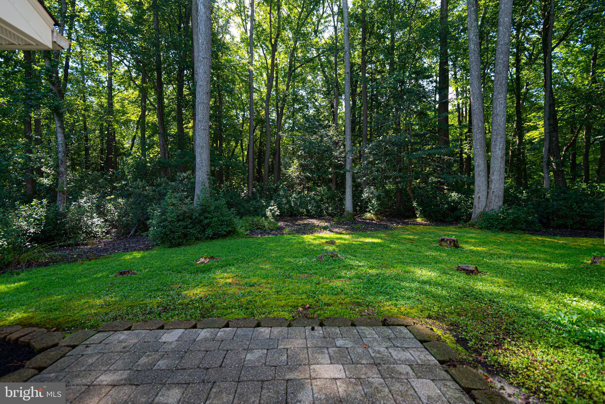 276 Windjammer Road Ocean Pines, MD 21811 - Photo 31 of 54 Exterior Back