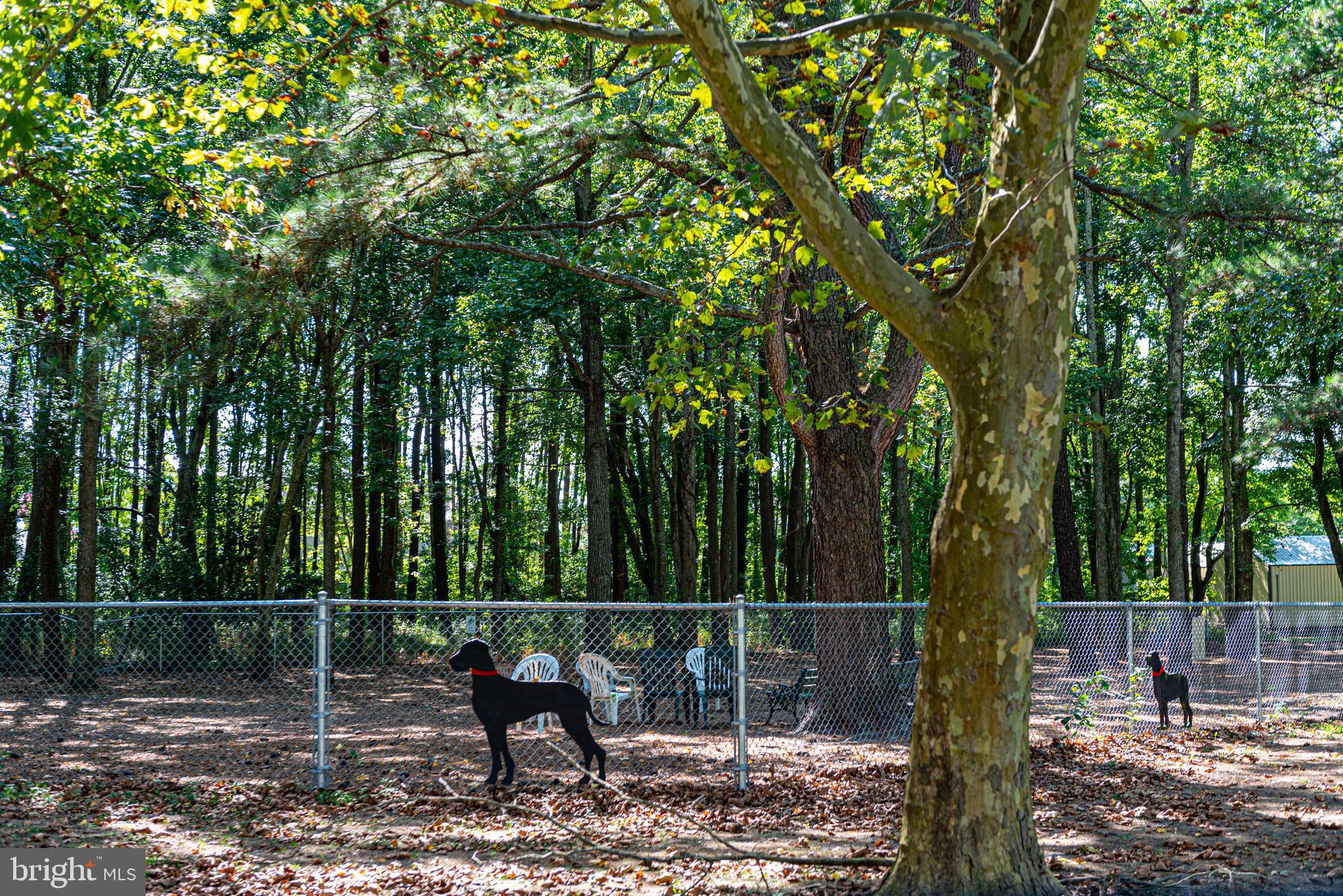276 Windjammer Road Ocean Pines, MD 21811 - Photo 53 of 54 Ocean Pines Dog Park