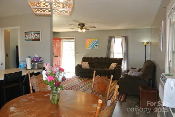 a living room with furniture flowerpot and a chandelier