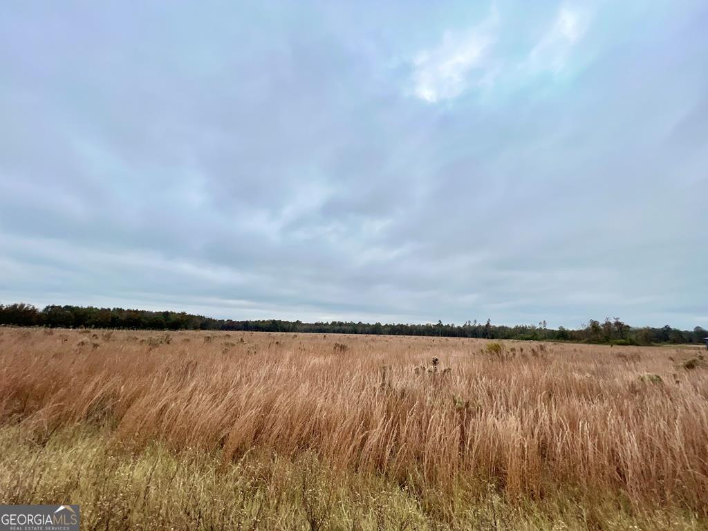 0 Altamaha School Road Baxley, GA 31513 - Photo 1 of 1 Main View