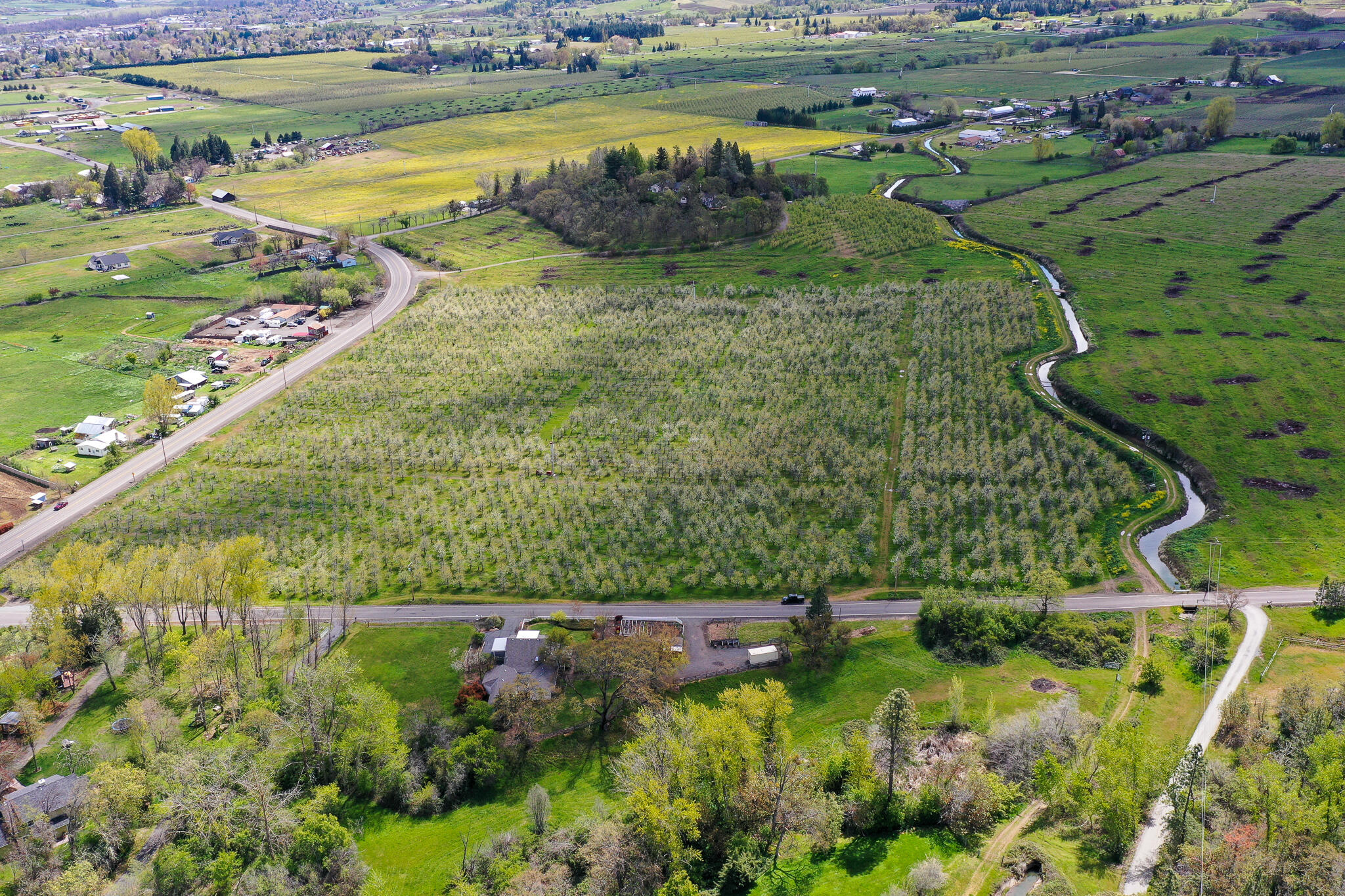 5510 Adams Road Talent, OR 97540 - Photo 4 of 59 DJI_0829