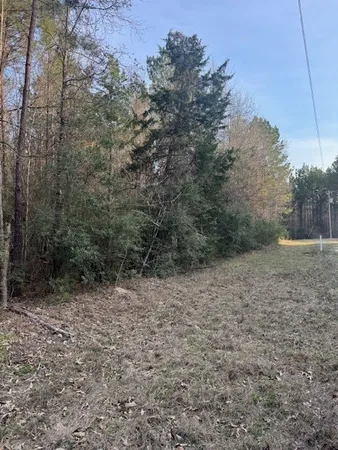 a view of backyard with green space