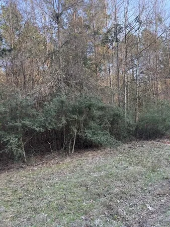 $79,900 | Tbd Piney Creek Subdivision, Corrigan, TX 75939
