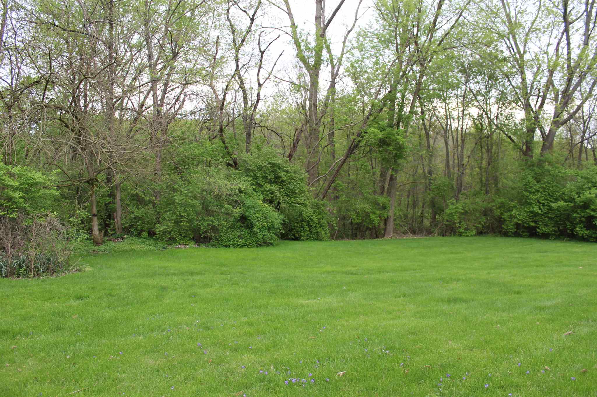 4301 South Whitney Road Selma, IN 47383 - Photo 4 of 35