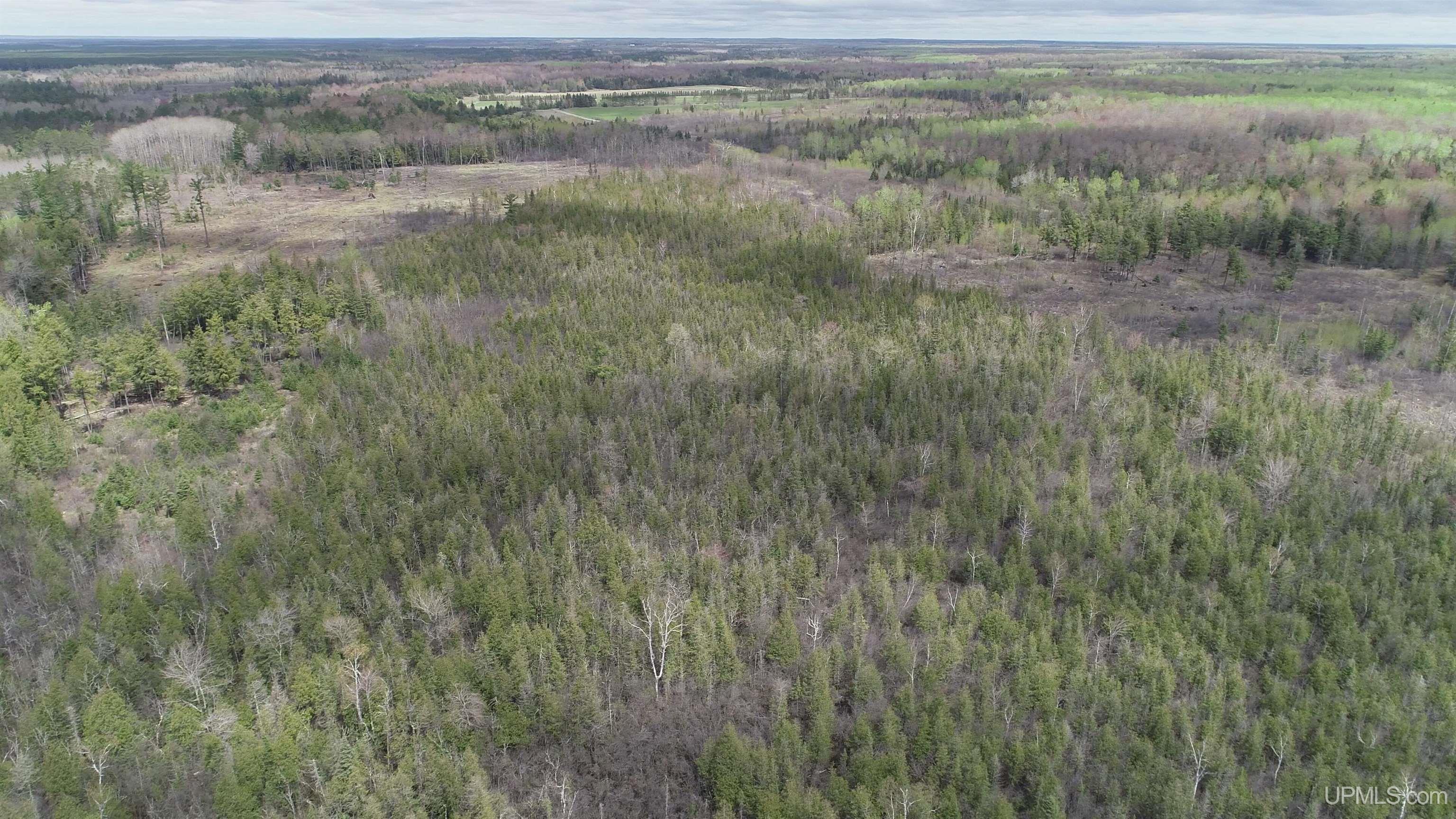K10 Old K10.17 Road Rapid River, MI 49878 - Photo 6 of 16