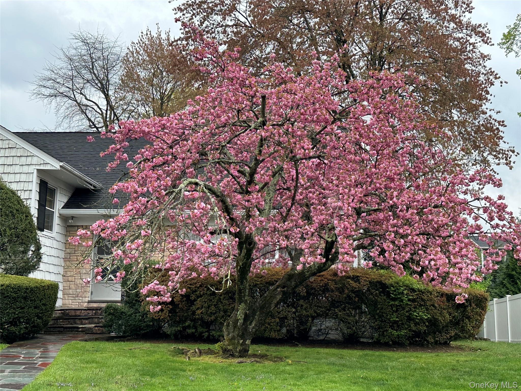 285 Stuart Drive New Rochelle, NY 10804 - Photo 2 of 37 a backyard of a house with lots of green space