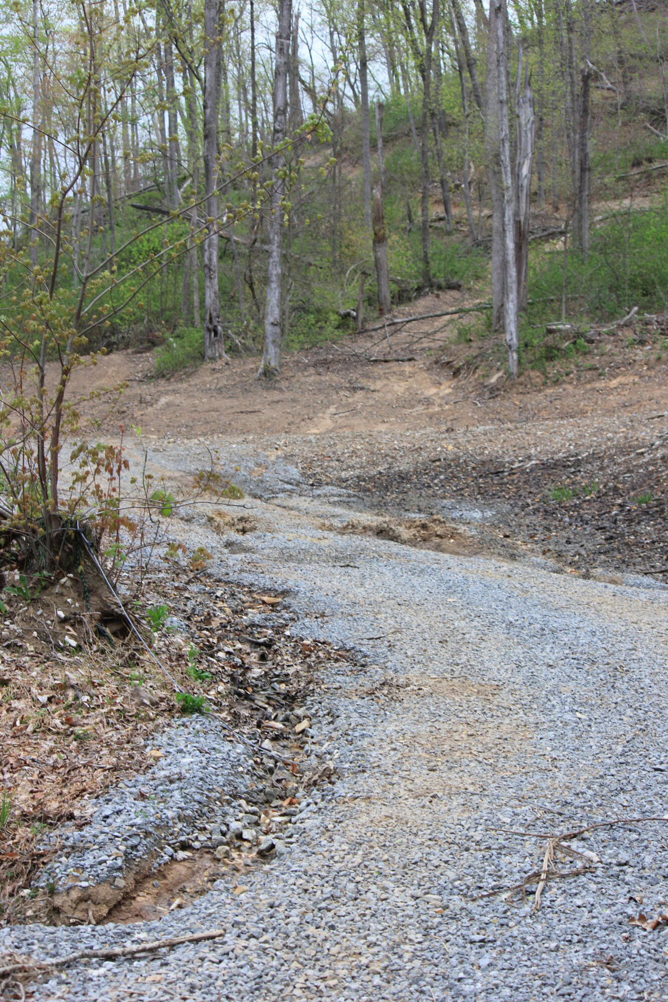 0 Routt Road Wallingford, KY 41093 - Photo 5 of 14 IMG_9412