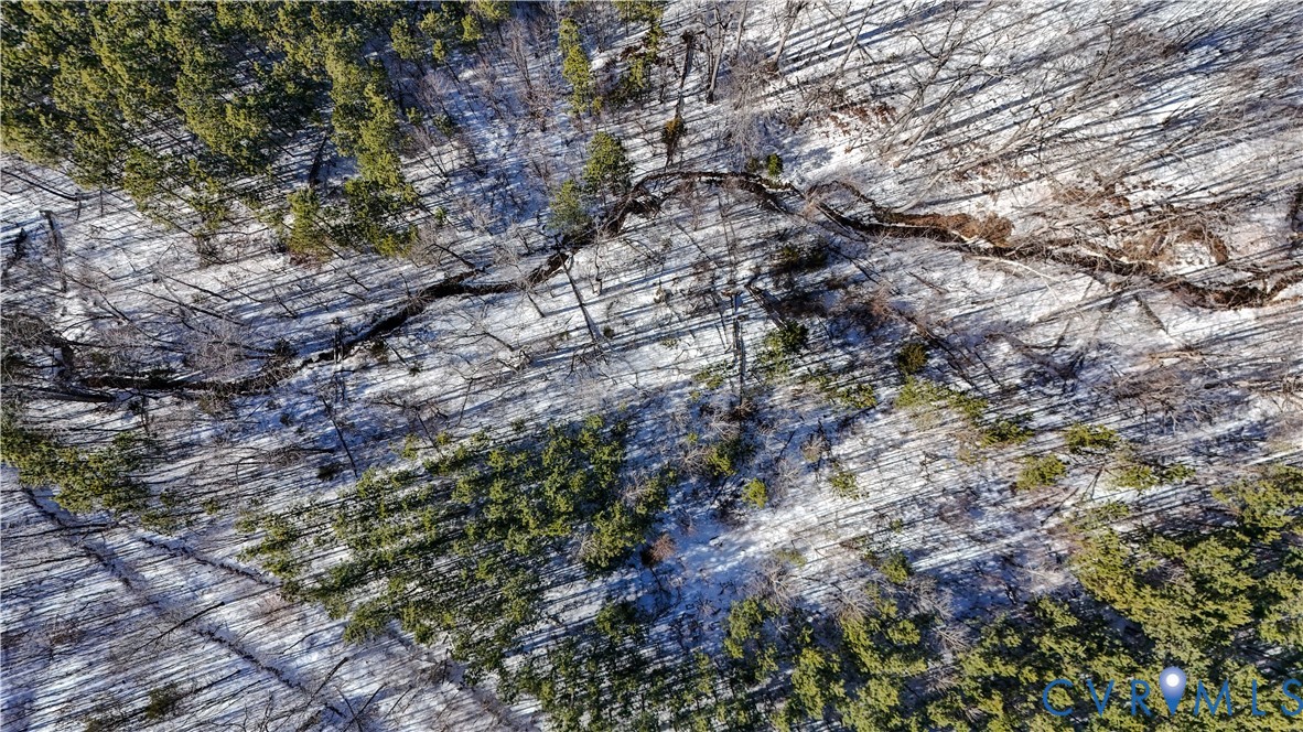 5343 Deer Run Road Farmville, VA 23901 - Photo 14 of 21 a view of a trees in a forest