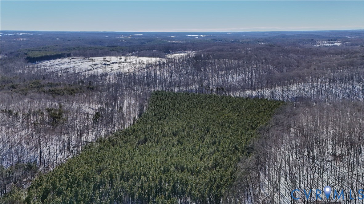 5343 Deer Run Road Farmville, VA 23901 - Photo 15 of 21 a view of a yard
