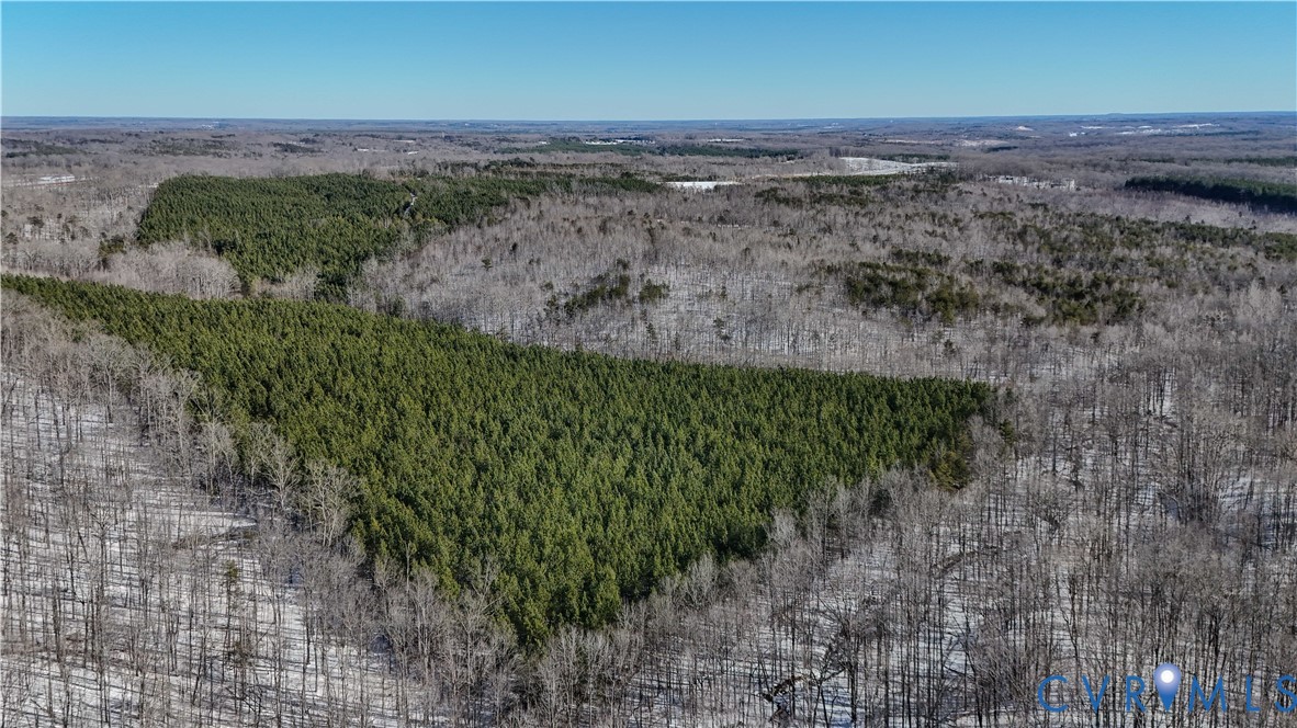5343 Deer Run Road Farmville, VA 23901 - Photo 18 of 21 a view of a dry yard