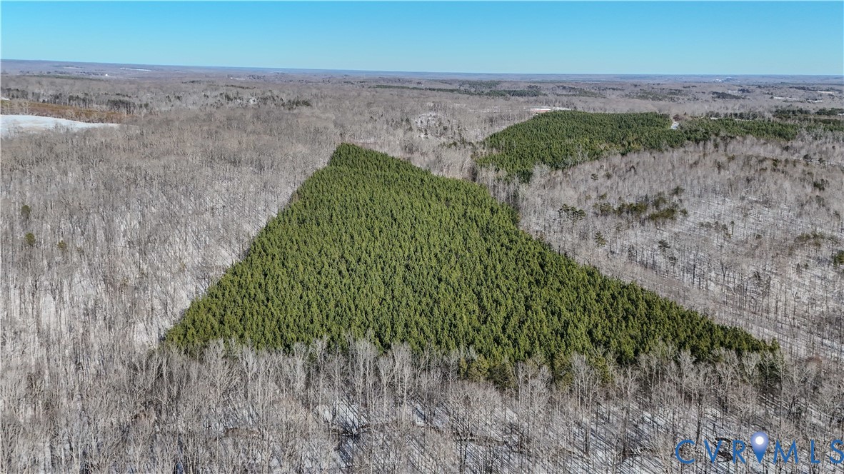 5343 Deer Run Road Farmville, VA 23901 - Photo 19 of 21 a view of a dry yard