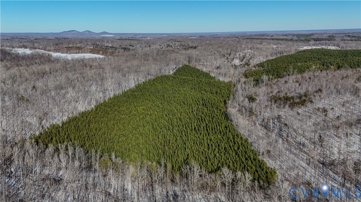 5343 Deer Run Road Farmville, VA 23901 - Photo 20 of 21 a view of a garden with a lake