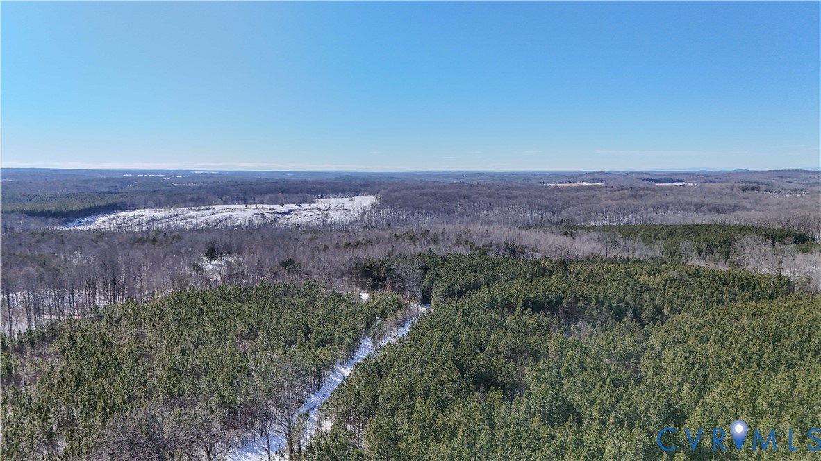 5343 Deer Run Road Farmville, VA 23901 - Photo 4 of 21 a view of a big yard with a forest