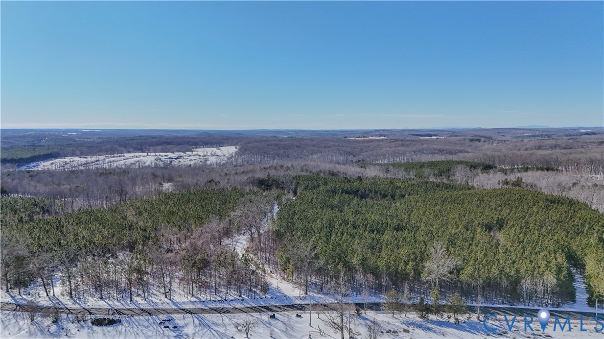5343 Deer Run Road Farmville, VA 23901 - Photo 6 of 21 a view of a yard