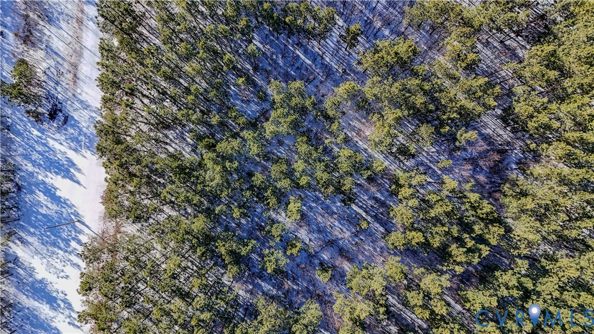 5343 Deer Run Road Farmville, VA 23901 - Photo 10 of 21 a view of a yard