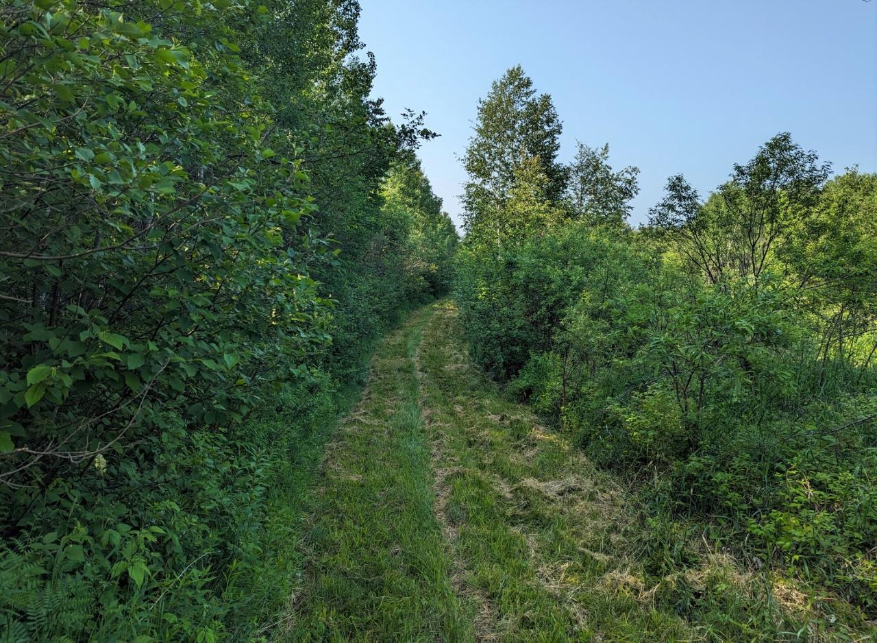 W7043 Lane Rd Road Phillips, WI 54555 - Photo 30 of 43 Gallery Image 30