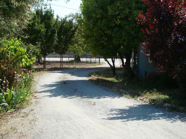 8170 Monterey Road Coyote, CA 95013 - Photo 15 of 17 a view of a yard with large trees
