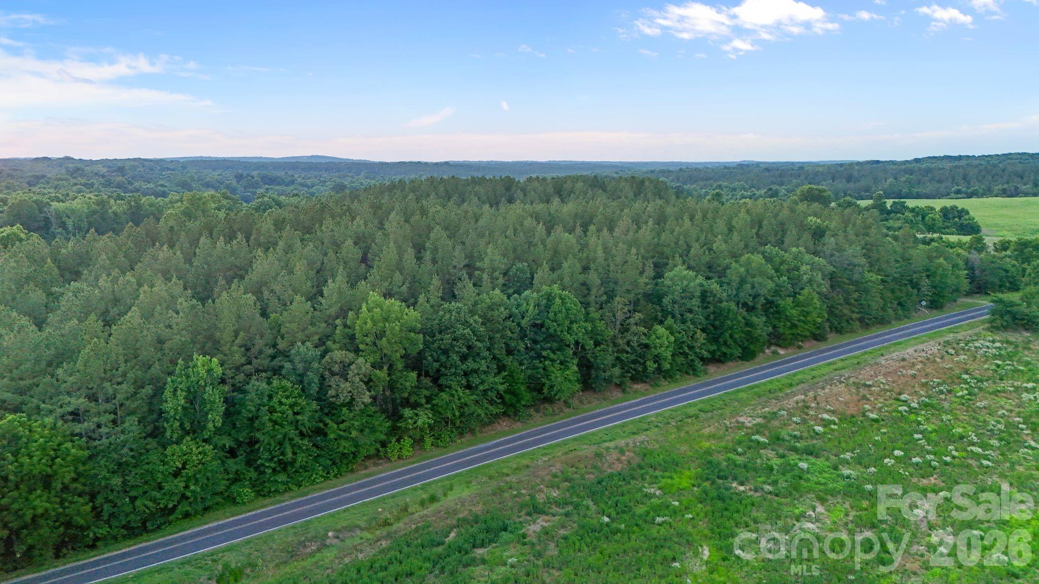 0 Lucy Short Cut Road, Unit 3 Marshville, NC 28103 - Photo 29 of 47