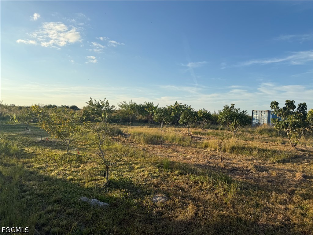 6724 5th Road LaBelle, FL 33935 - Photo 10 of 28 a view of a lake with a city