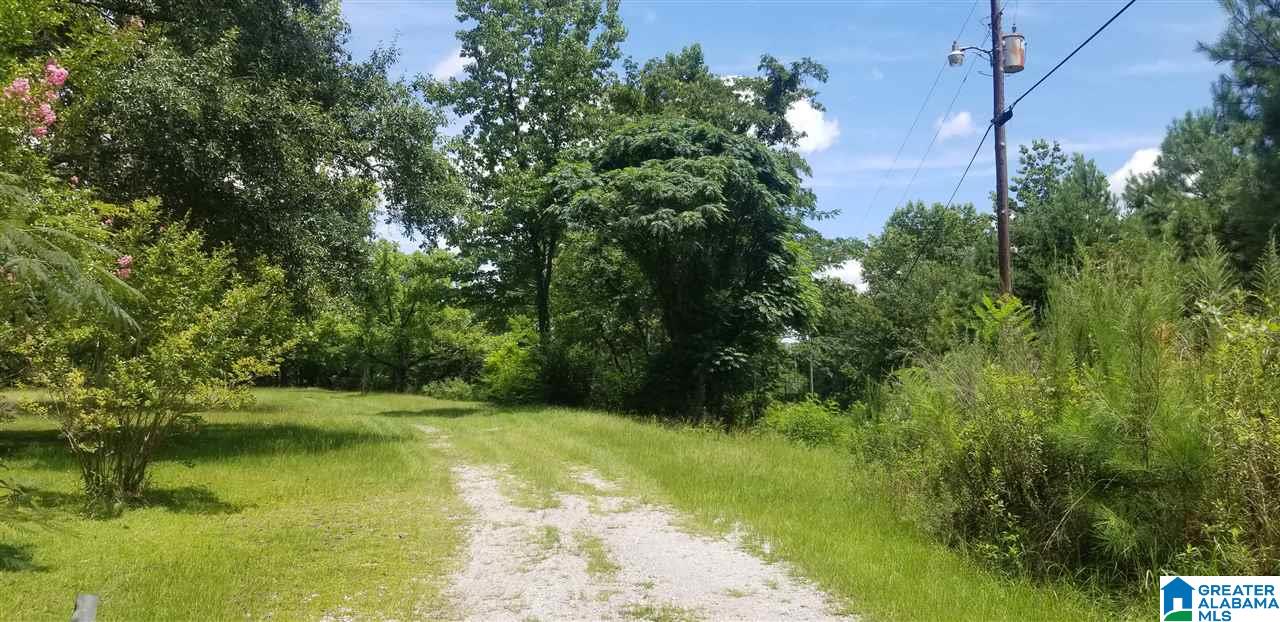 173 Beagle Club Road, Unit 1 2 Empire, AL 35063 - Photo 12 of 20