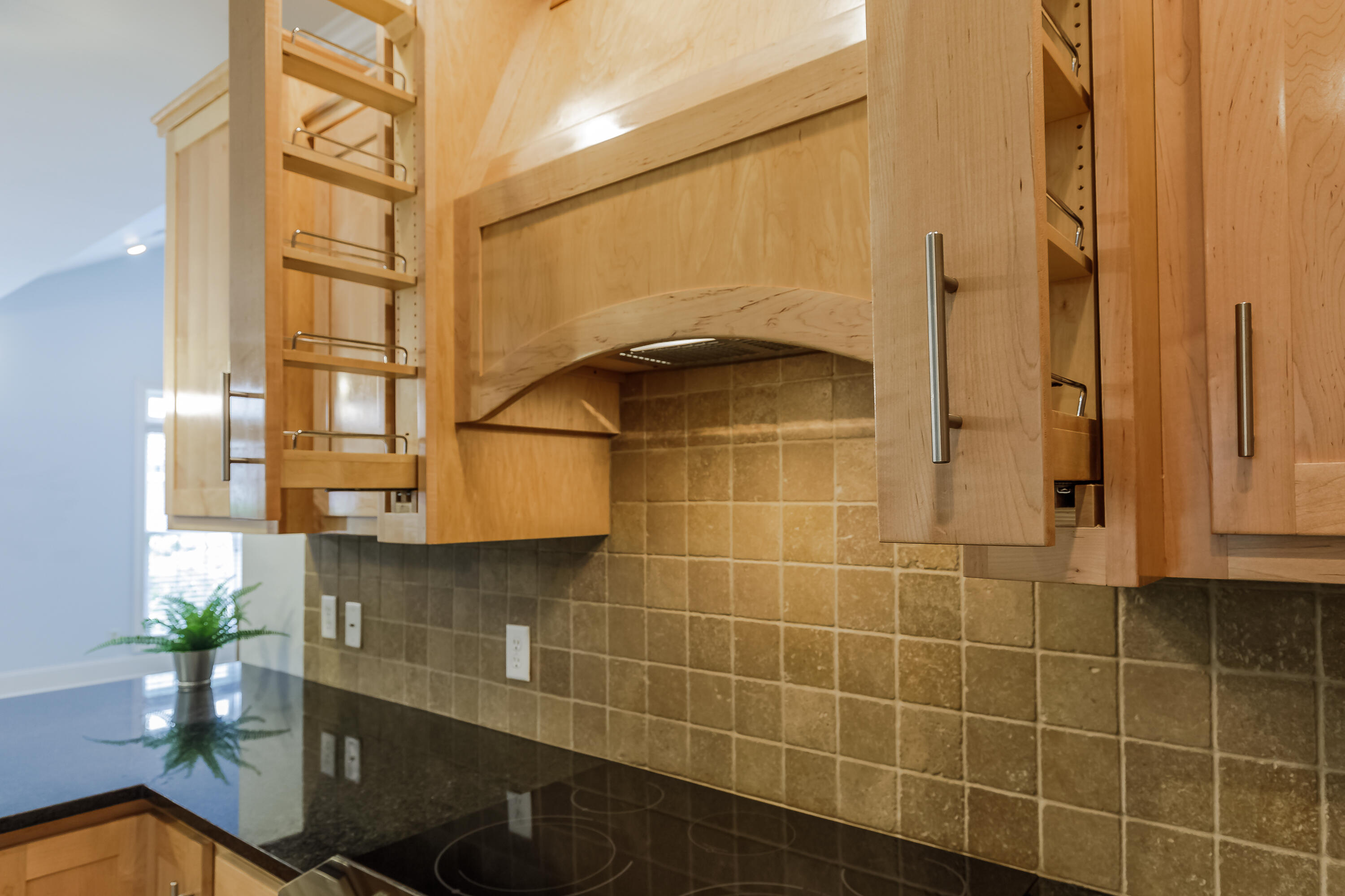 2329 Rivendell Lane Chattanooga, TN 37421 - Photo 31 of 67 Kitchen Pullouts